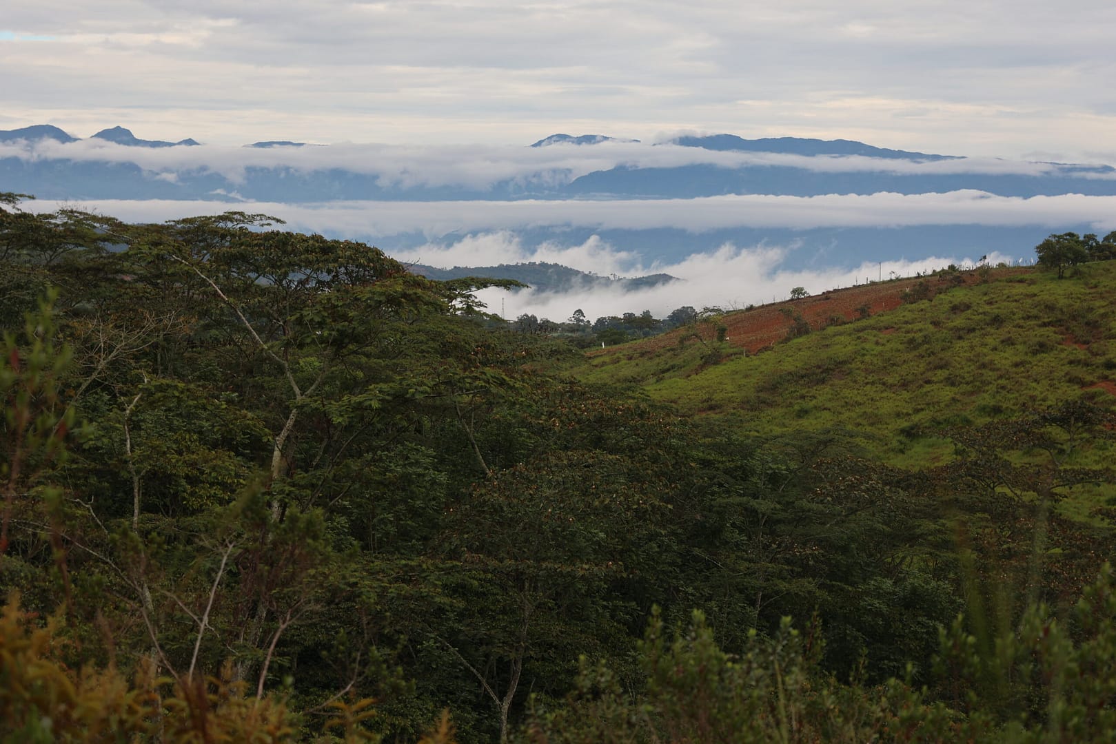 Sāba torréfaction - Paysage - Colombie - Chicamocha