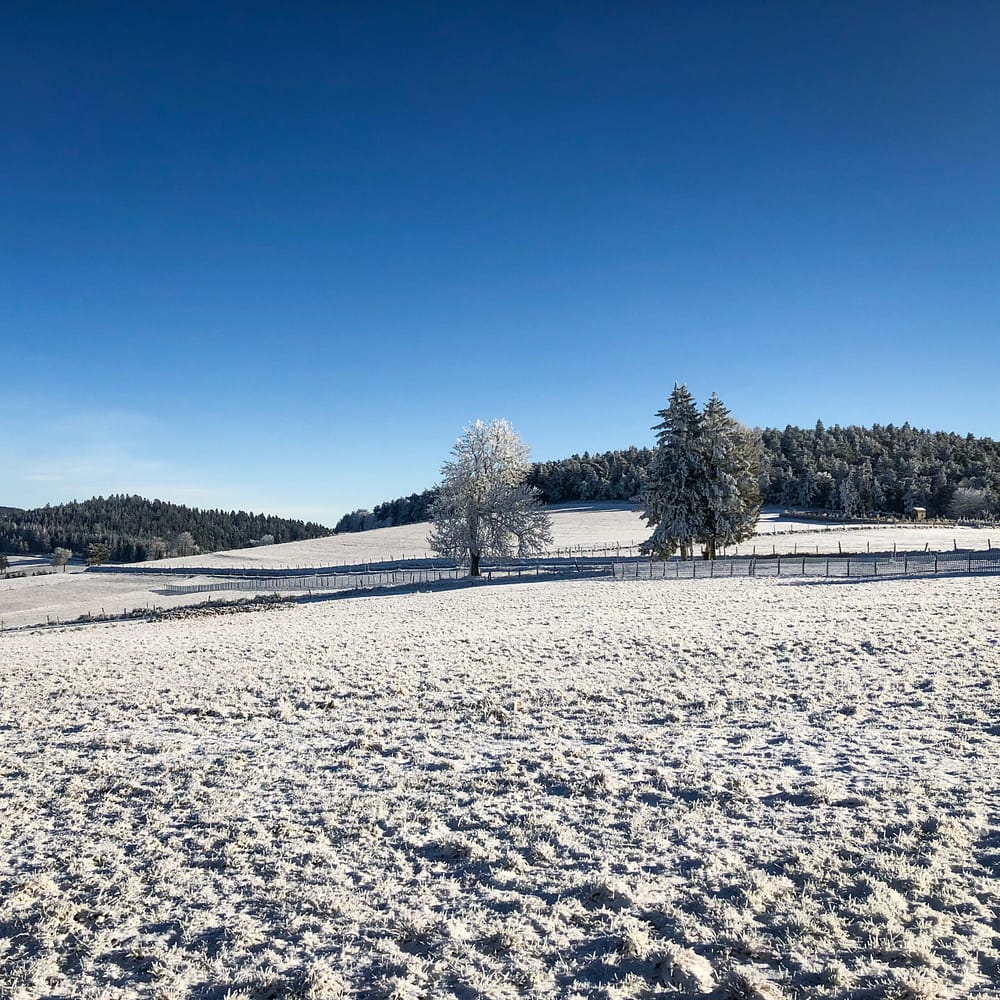 Saba Torréfaction - Saint-Bonnet sous la neige