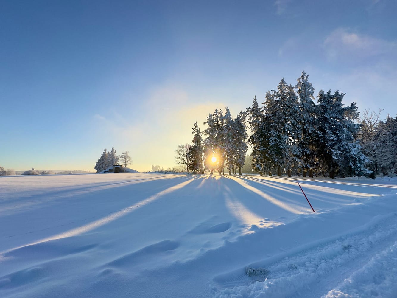 Saba Torréfaction - Saint-Bonnet sous la neige