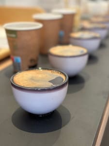 Saba torréfaction - cupping