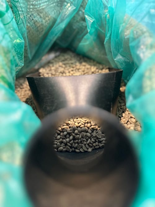 Saba torréfaction - café vert