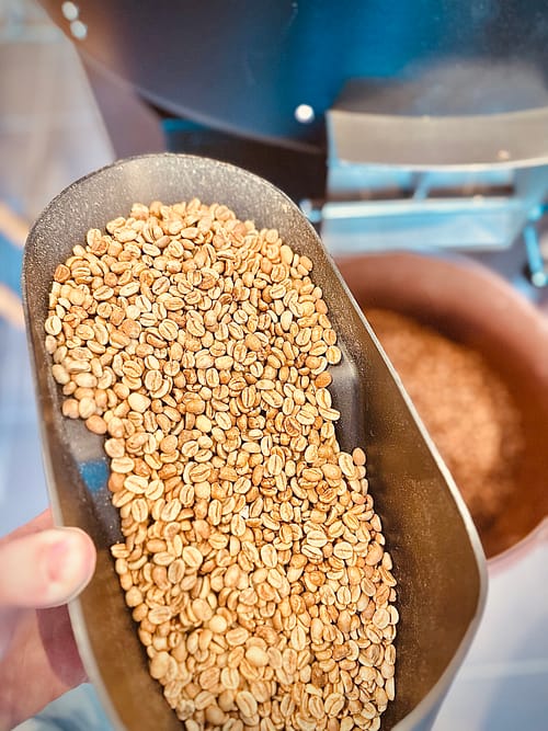 Saba torréfaction - café vert