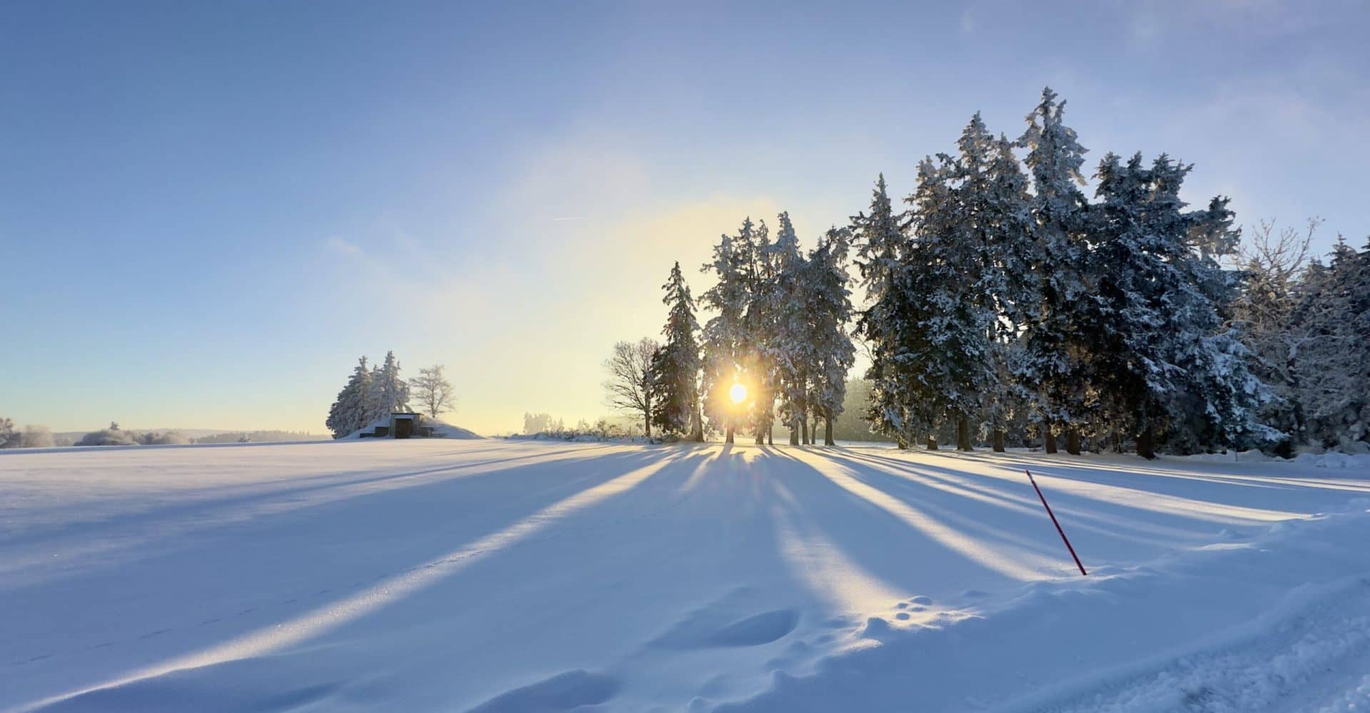 Saba Torréfaction - Saint-Bonnet sous la neige